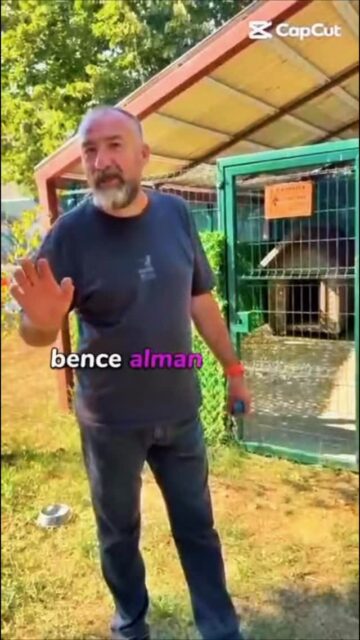 Alman Çoban Köpeği candır, gerisi heyecandır. 😄🐾

Ama o heyecanın dengeli, kontrollü ve güvenilir bir dosta dönüşmesi; doğru eğitim, doğru iletişim ve tutarlılıkla mümkündür.

Köpek eğitiminde amacımız yalnızca komut yaptırmak değildir. Köpeğin sahibini anlaması, dikkatini doğru yere yöneltmesi ve günlük yaşamın içinde güvenle hareket edebilmesi gerekir.

Her köpeğin karakteri, öğrenme biçimi ve ihtiyaçları farklıdır. Bu nedenle eğitim de köpeğe ve sahibine özel olarak planlanmalıdır.

Von Erk
2003’ten beri bilgi, tecrübe ve sistem.

Köpeğinizin eğitim ihtiyacı hakkında bilgi almak için bizimle iletişime geçebilirsiniz. #almançobanköpeği #almankurdu #almançobanköpeğiyavrusu #köpekeğitimi #İstanbulKöpekEğitimi VonErk AlmanÇobanKöpeği AlmanKurdu KöpekEğitimi İstanbulKöpekEğitimi Çatalca GermanShepherd GermanShepherdTraining DogTraining